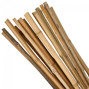 Bambusová tyč 180cm, hrúbka 12-14 mm
