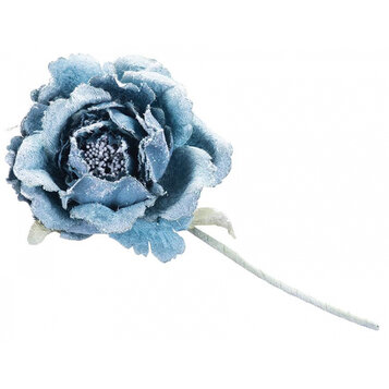 Pivónia, modrá, stonka, veľkosť kvetu: 11 cm, dĺžka kvetu: 21 cm, bal. 6 ks