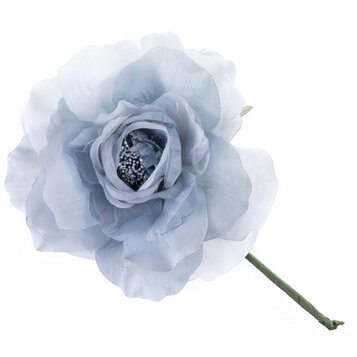 Pivónia, modrá, stonka, veľkosť kvetu: 16 cm, dĺžka kvetu: 24 cm, bal. 6 ks