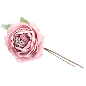 Rruža rozvitá, ružová, stonka, veľkosť kvetu: 11 cm bal. 6 ks