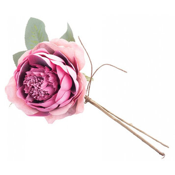 Ruža rozvitá, tmavoružová, stonka, veľkosť kvetu: 11 cm, bal. 6 ks